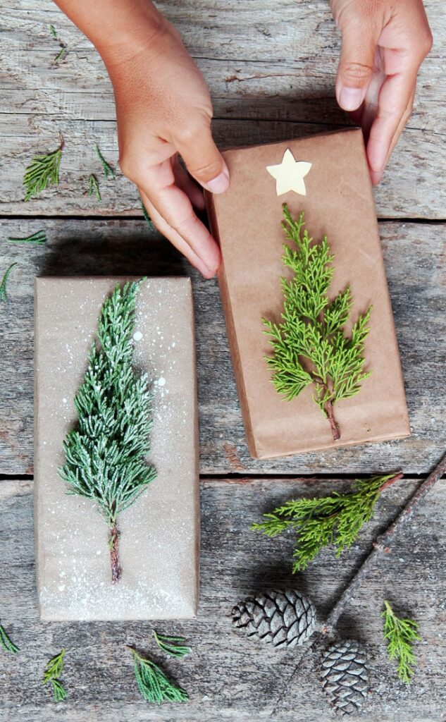 Mini Christmas Tree on Brown Paper width
