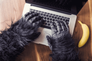 gorilla typing on a mac